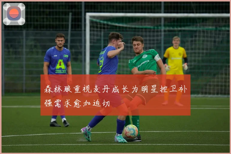 森林狼重视麦丹成长为明星控卫补强需求愈加迫切