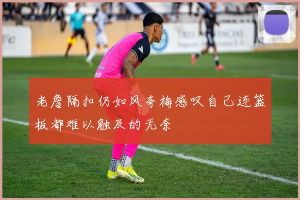 老詹隔扣仍如风夸梅感叹自己连篮板都难以触及的无奈