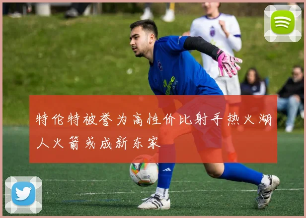 特伦特被誉为高性价比射手热火湖人火箭或成新东家